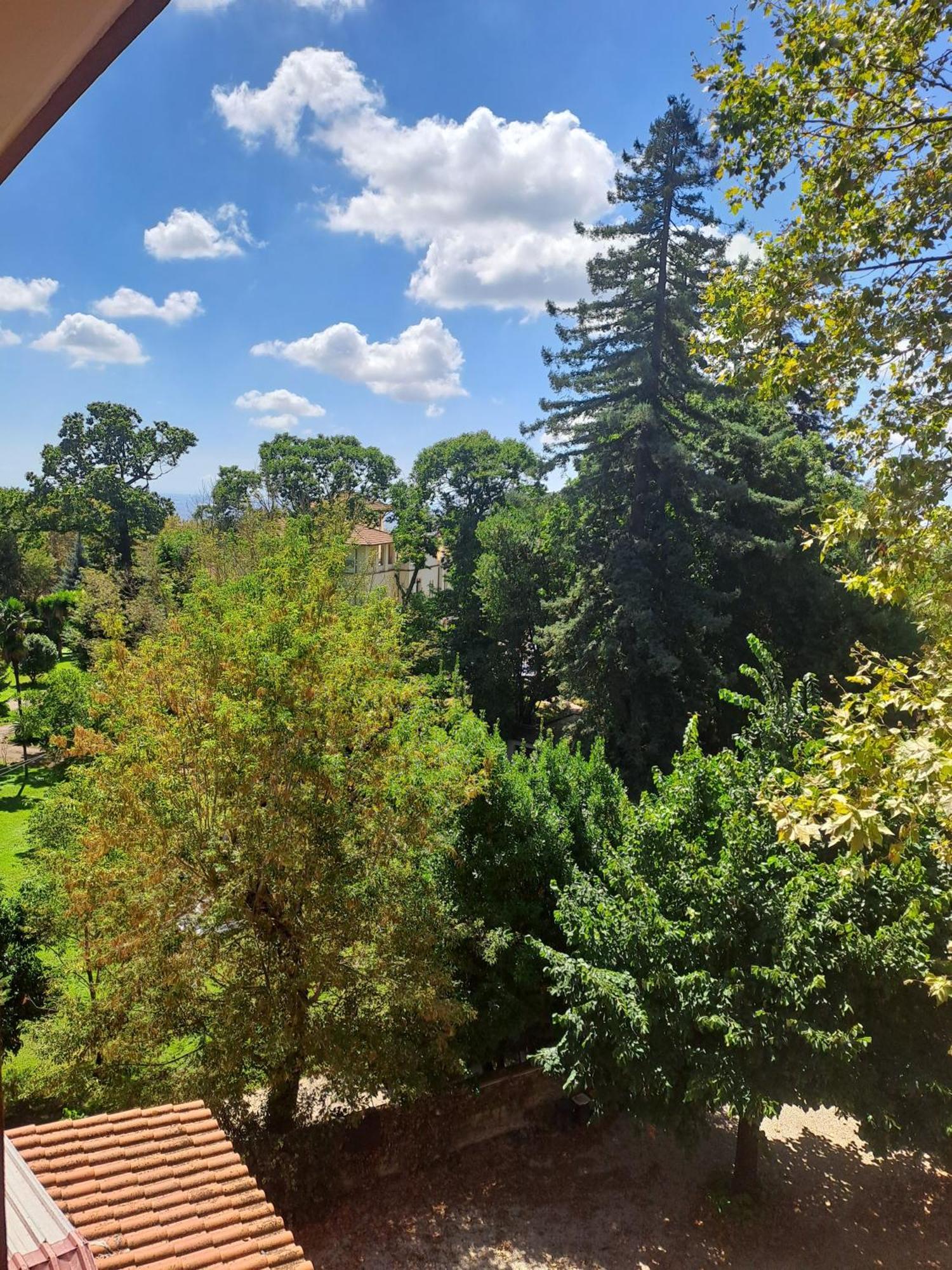 Hotel Villa Robinia 겐자노 디 로마 외부 사진
